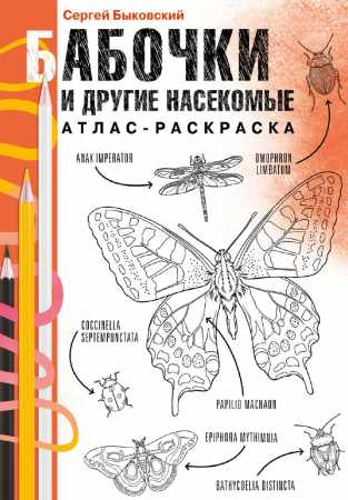 Бабочки и другие насекомые