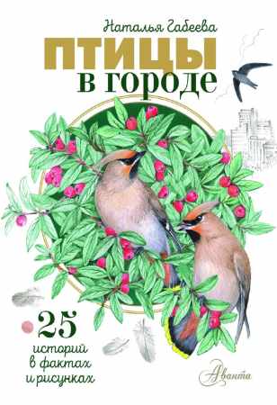 Птицы в городе