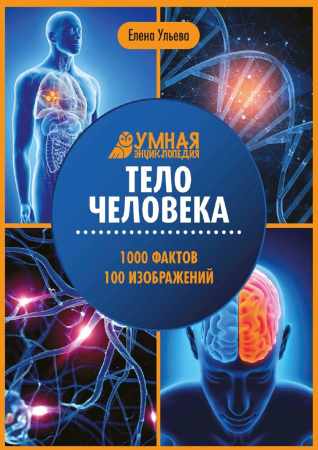 Тело человека