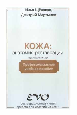 Кожа: анатомия реставрации