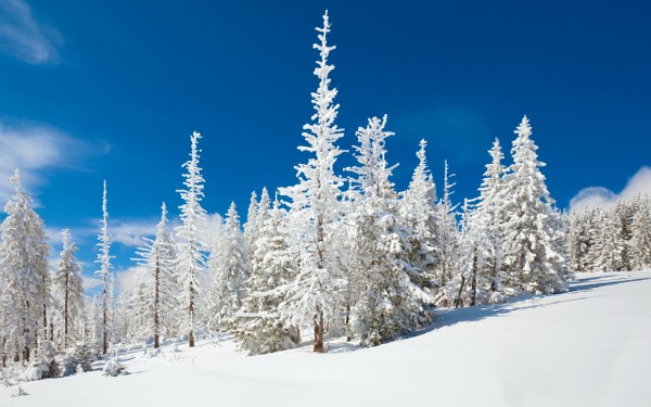New Mixed HD Wallpapers Pack 228