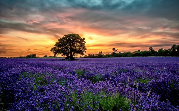 New Mixed HD Wallpapers Pack 228