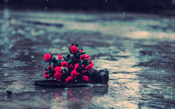 New Mixed HD Wallpapers Pack 240