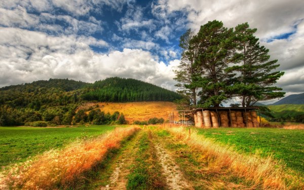 New Mixed HD Wallpapers Pack 241