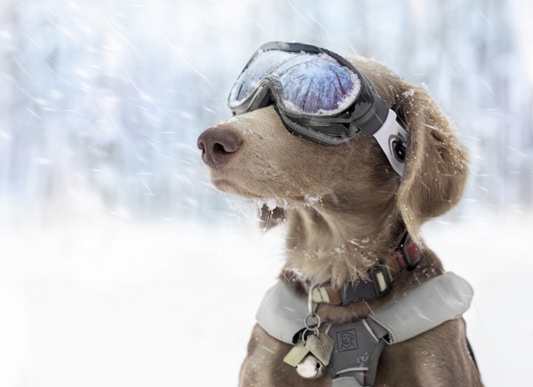 New Mixed HD Wallpapers Pack 250