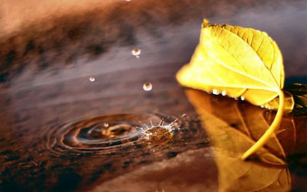 New Mixed HD Wallpapers Pack 252