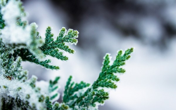 New Mixed HD Wallpapers Pack 254