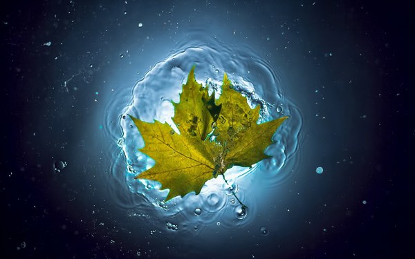 Best Mixed Wallpapers Pack #309-310