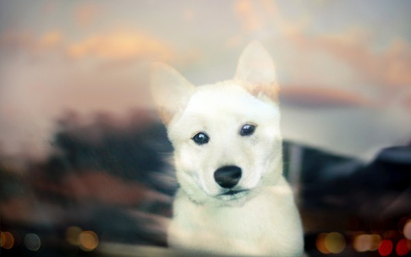 New Mixed HD Wallpapers Pack 157