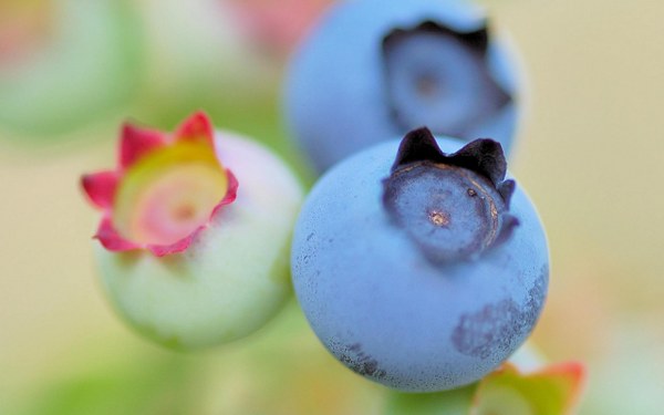 New Mixed HD Wallpapers Pack 163