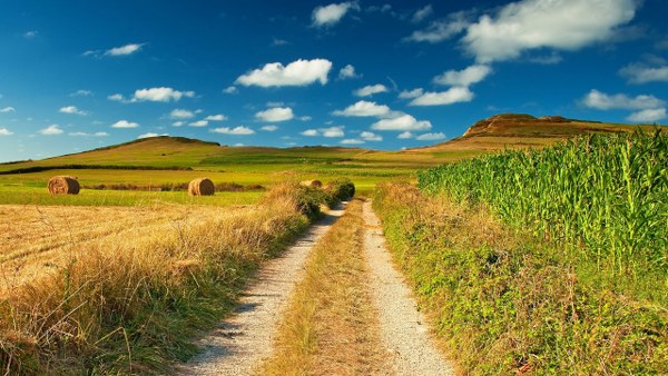 Best Mixed Wallpapers Pack #331-332