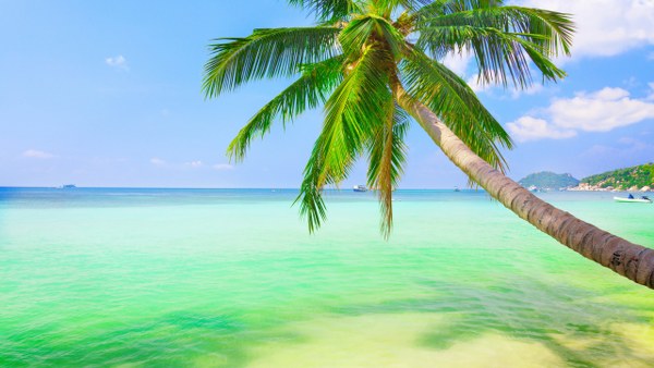 Best Mixed Wallpapers Pack #331-332