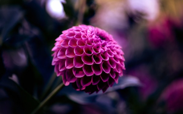 New Mixed HD Wallpapers Pack 170