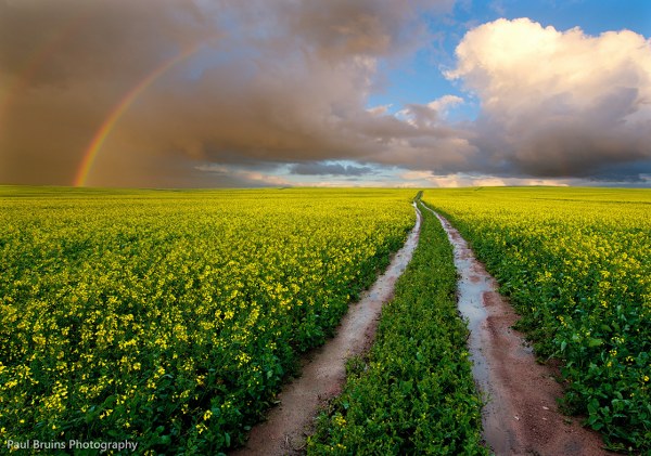 New Mixed HD Wallpapers Pack 172