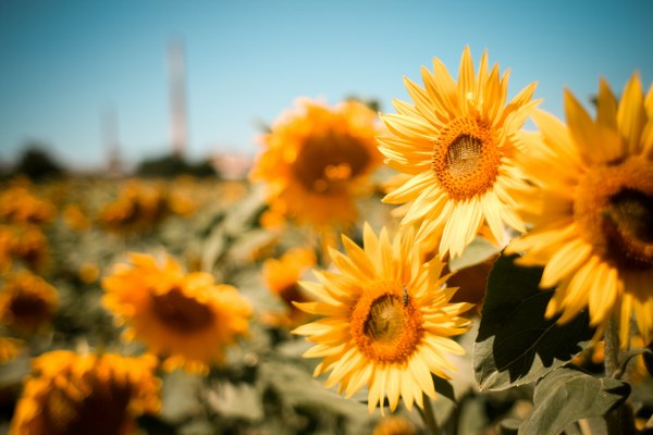 New Mixed HD Wallpapers Pack 262