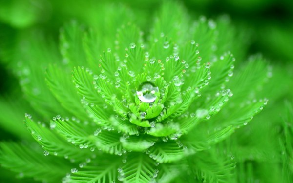 New Mixed HD Wallpapers Pack 268