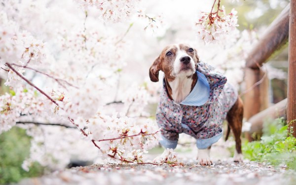 New Mixed HD Wallpapers Pack 275