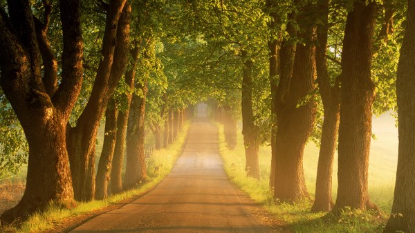 New Mixed HD Wallpapers Pack 279
