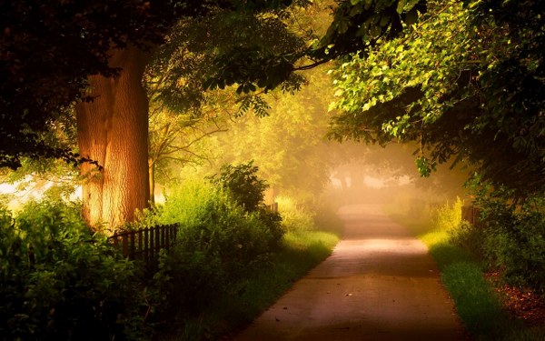 Best Mixed Wallpapers Pack #333-334