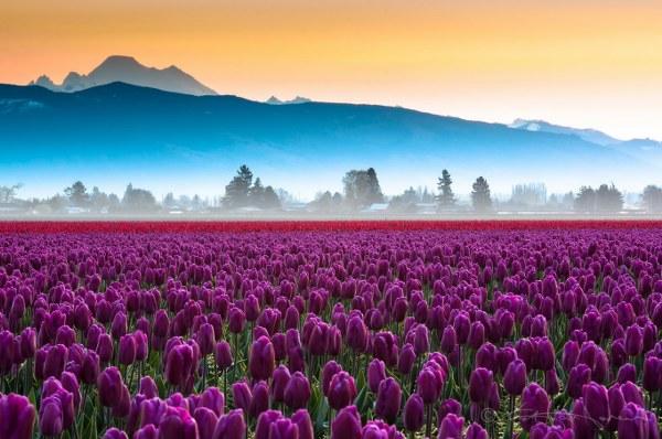 Best Mixed Wallpapers Pack #335-336