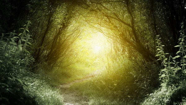 New Mixed HD Wallpapers Pack 193