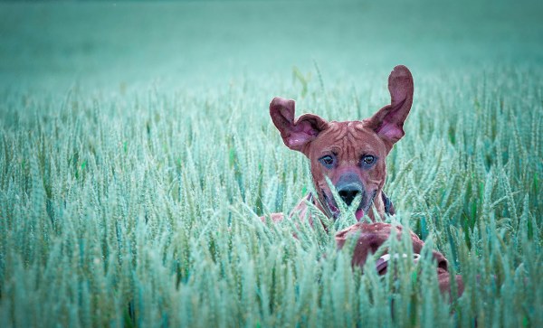 Best Mixed Wallpapers Pack #333-334