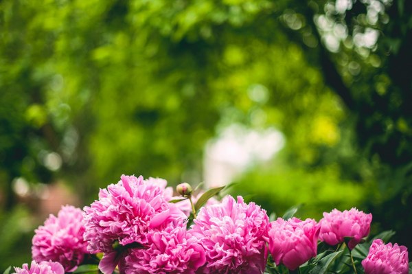 New Mixed HD Wallpapers Pack 194