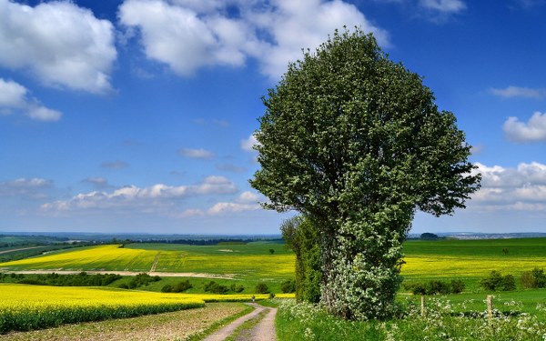 New Mixed HD Wallpapers Pack 195
