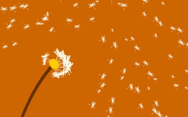 New Mixed HD Wallpapers Pack 196