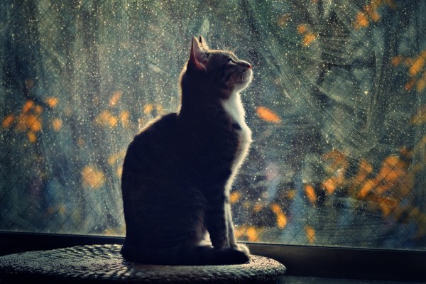 New Mixed HD Wallpapers Pack 201