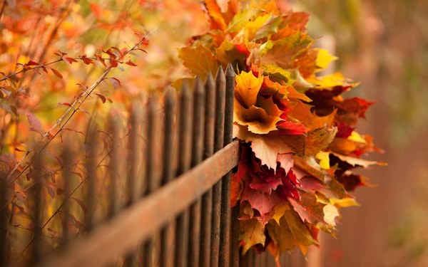 New Mixed HD Wallpapers Pack 203