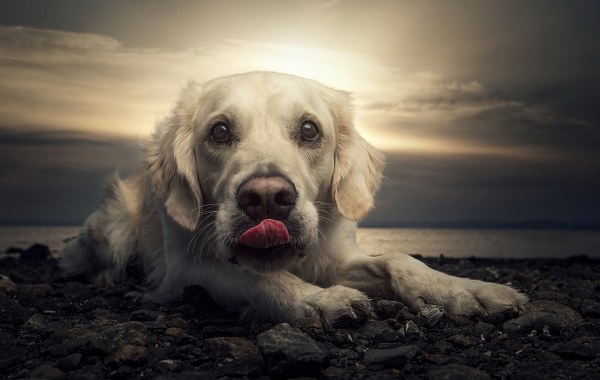 New Mixed HD Wallpapers Pack 207