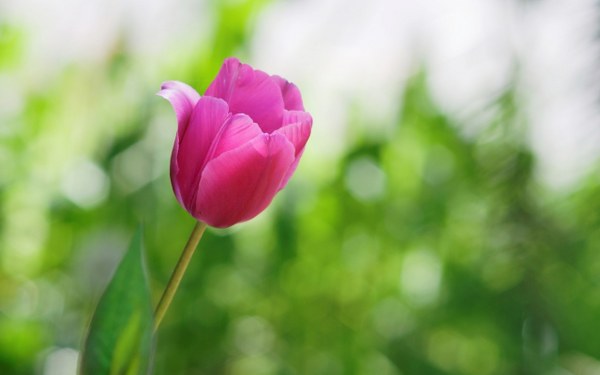 New Mixed HD Wallpapers Pack 207