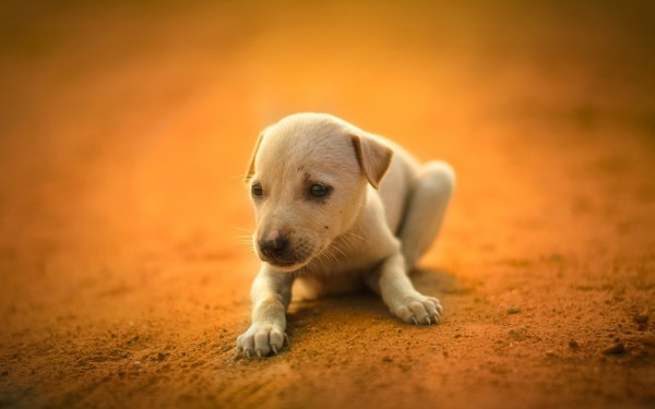 New Mixed HD Wallpapers Pack 216