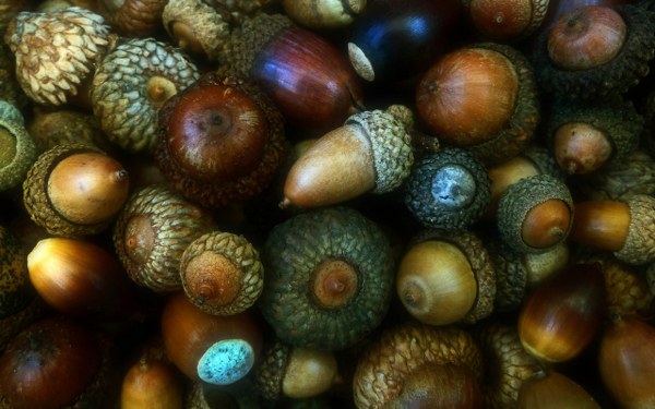 New Mixed HD Wallpapers Pack 217