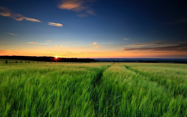 New Mixed HD Wallpapers Pack 219