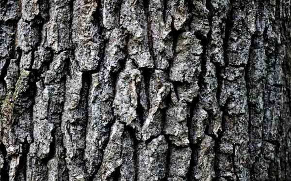 New Mixed HD Wallpapers Pack 220